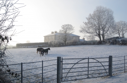 A Frosty Morning at This Neo-Georgian Country House